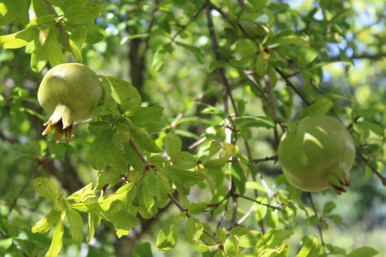 Quinta De Gestacos Farm stay *